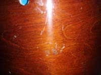 P6270013